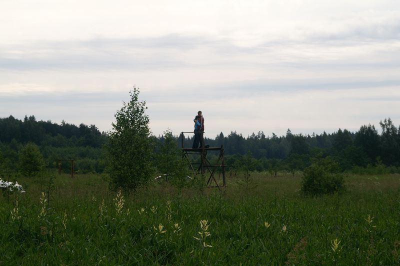  2009