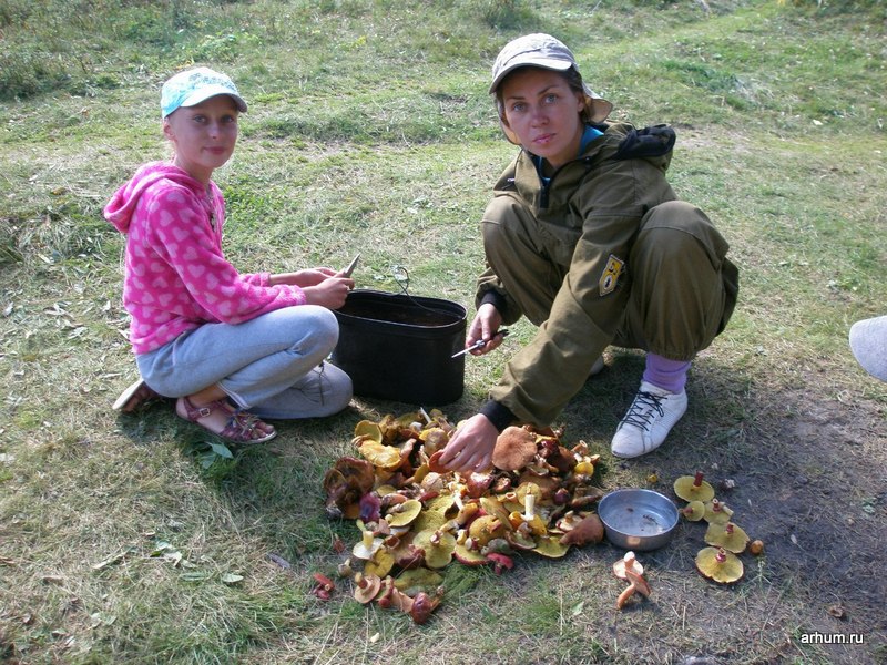 altai 2012