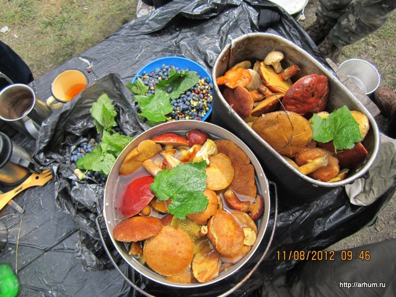altai 2012
