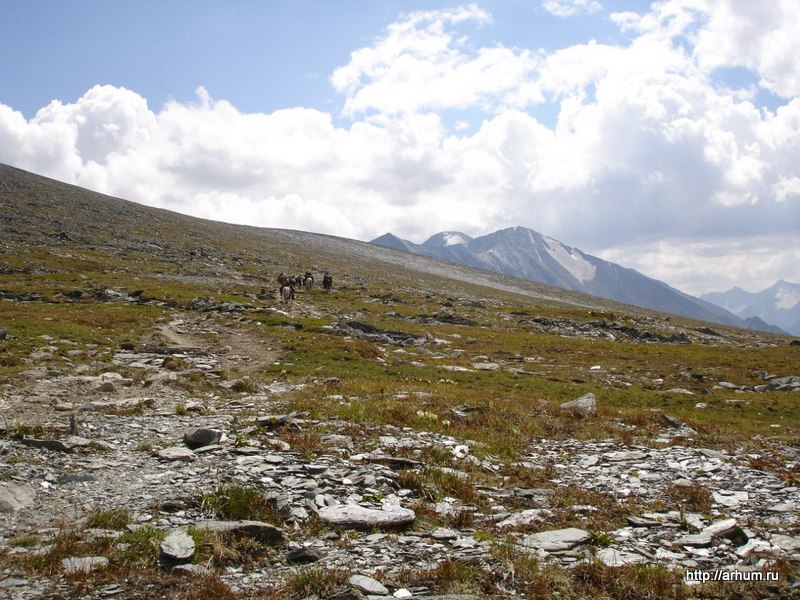 altai 2012