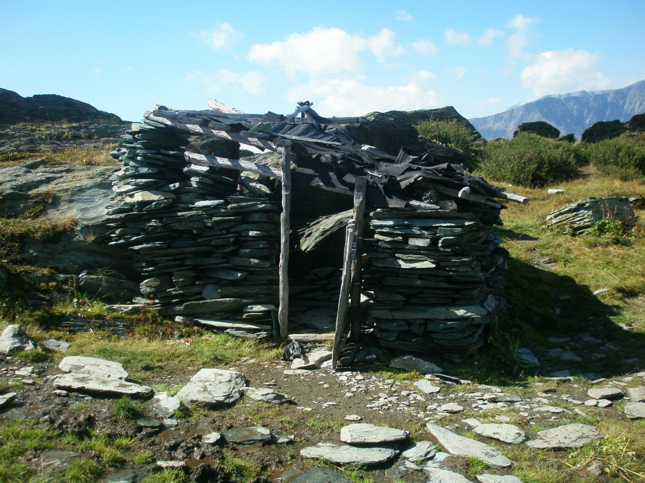 altai 2012