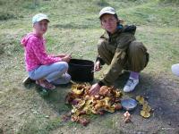 altai 2012
