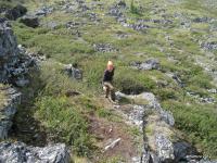 altai 2012