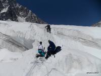 altai 2012